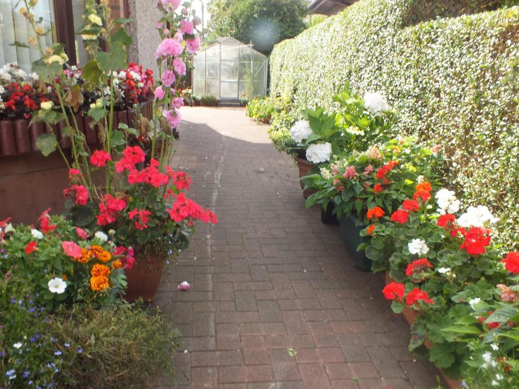 Glendarroch Guest House Largs Esterno foto